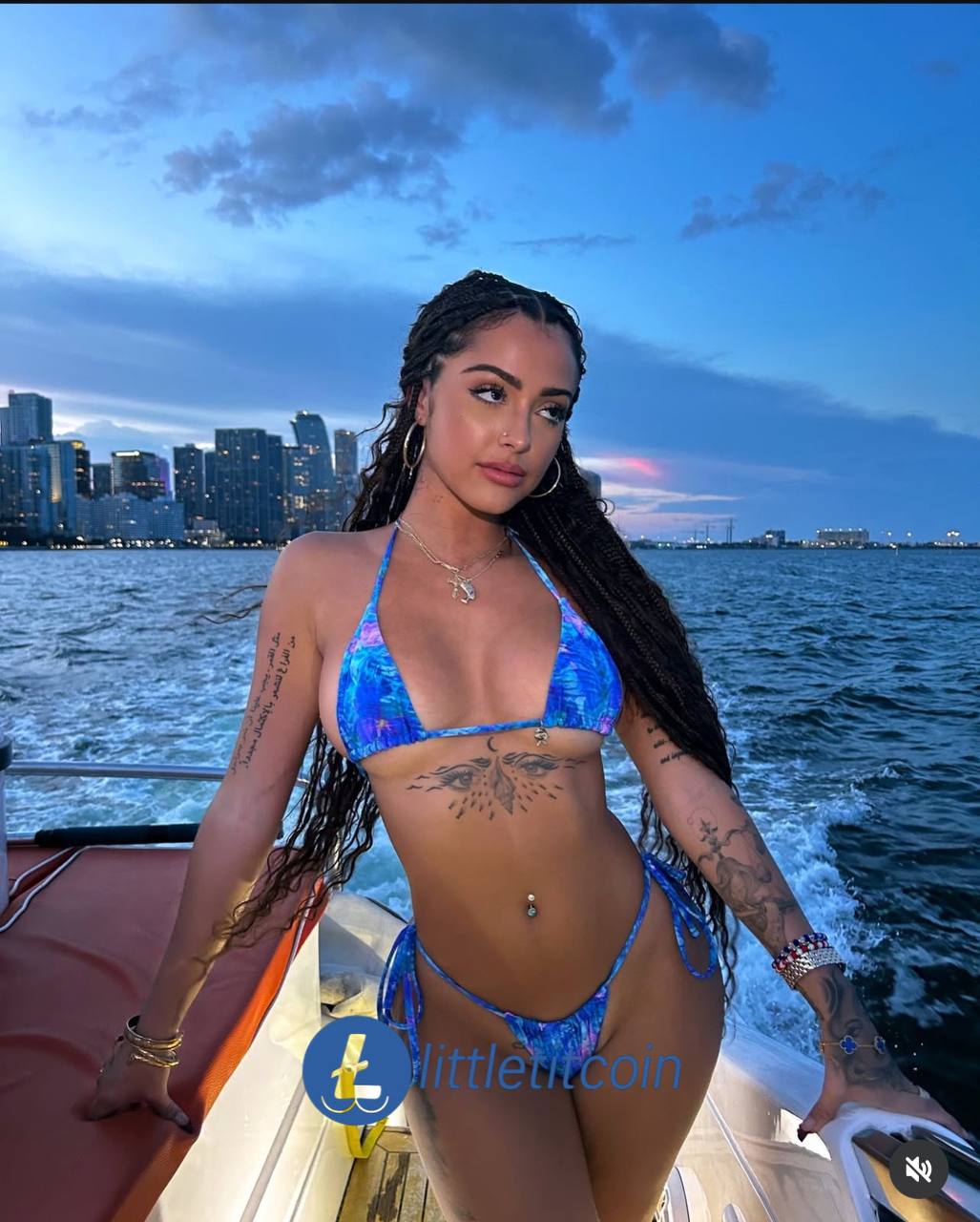 Littletitcoin Boat Sunset Community
